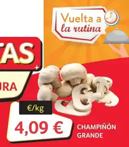 GM Cash & Carry Champiñón grande oferta