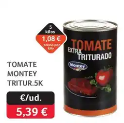 GM Cash & Carry Montey tomate triturado oferta