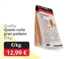 GM Cash & Carry Quality queso cuña gran padano oferta