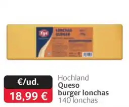 GM Cash & Carry Hochland Queso burger lonchas oferta