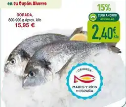 Masymas Dorada - dorada oferta