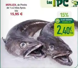 Masymas Merluza oferta