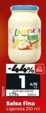 Dia Ligeresa - salsa fina oferta