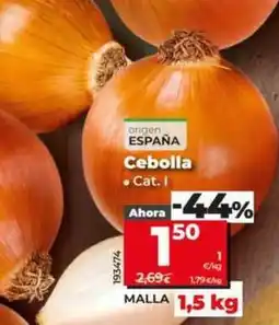 Dia Cebolla oferta