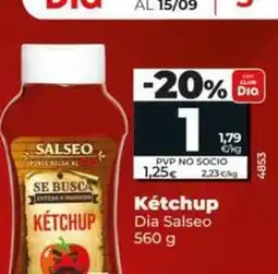 Dia Dia salseo - ketchup oferta