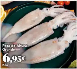 Gadis Pota de Altura Grande oferta