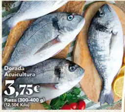 Gadis Dorada Acuicultura oferta