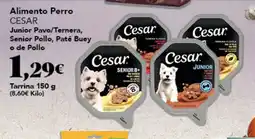 Gadis Cesar Alimento Perro oferta