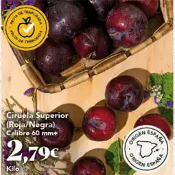 Gadis Ciruela Superior oferta