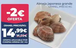 La Sirena Almeja japonesa grande oferta