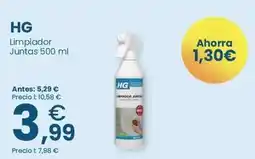 Clarel Hg - limpiador juntas oferta
