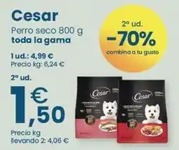Clarel Cesar - perro seco oferta