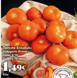 Gadis Primor - tomate ensalada oferta