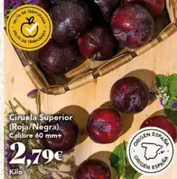 Gadis Origen - ciruela superior roja/negra oferta