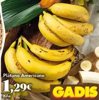 Gadis Platano americano oferta