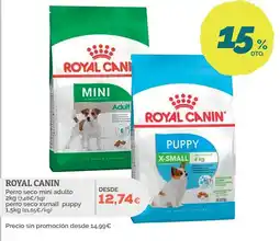 Supermercados MAS Royal Canin perro seco mini adulto perro seco xsmall puppy oferta