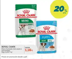 Supermercados MAS Royal Canin perro humedo mini adult o mini puppy oferta