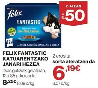 Felix fantastic