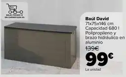Carrefour Baul David oferta