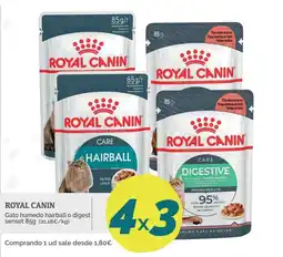 Supermercados MAS Royal Canin gato humedo hairball o digest oferta