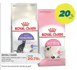Supermercados MAS Royal Canin gato seco esterilizado o seco oferta