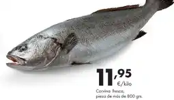 Supermercados Lupa Corvina fresca oferta