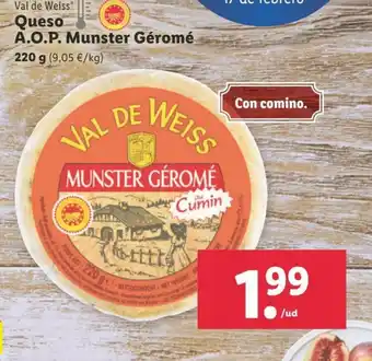 Lidl Val de Weis Queso A.O.P Munster Gérome 220g oferta