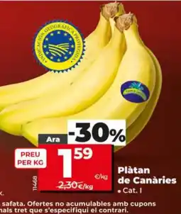 Dia Plàtan de Canàries oferta