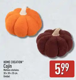 ALDI Home Creation Cojín oferta