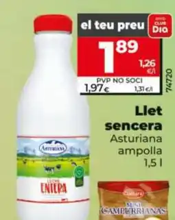 Dia Asturiana llet sencera oferta