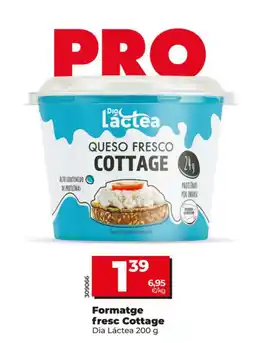Dia Dia Láctea queso fresco cottage oferta
