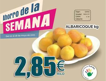 FROIZ Albaricoque kg oferta