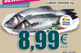 FROIZ Lubina Grande kg oferta