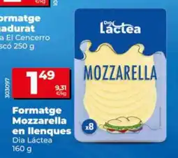 Maxi Dia Dia Láctea formatge mozzarella en llenques oferta