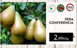 Plusfresc Pera conferència oferta