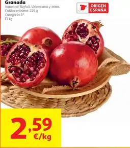 Alcampo Granada oferta