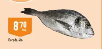 Dorada - dorada