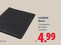 Lidl Livarno Manta oferta