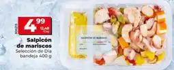 Dia Seleccion de dia - salpicón de mariscos oferta