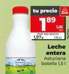 Dia Asturiana - leche entera oferta