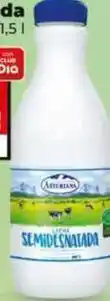 Dia Asturiana - leche semidesnatada oferta