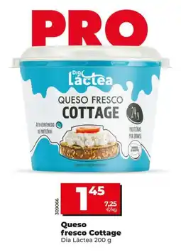 Dia Dia lactea - queso fresco cottage oferta