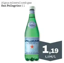 Sorli San Pellegrino aigua mineral amb gas oferta