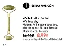 Oriflame Wellosofhy rodillo facial oferta