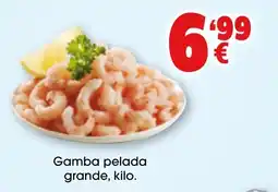TOP Cash & Carry Gamba pelada grande oferta