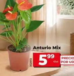 Dia Supermercados Anturio Mix oferta