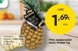 FROIZ Piña maduración lenta Ambar oferta