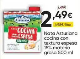 FROIZ Nata Asturiana cocina con textura espesa oferta