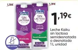 FROIZ Leche Kaiku sin lactosa oferta