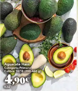 Gadis Aguacate Hass oferta